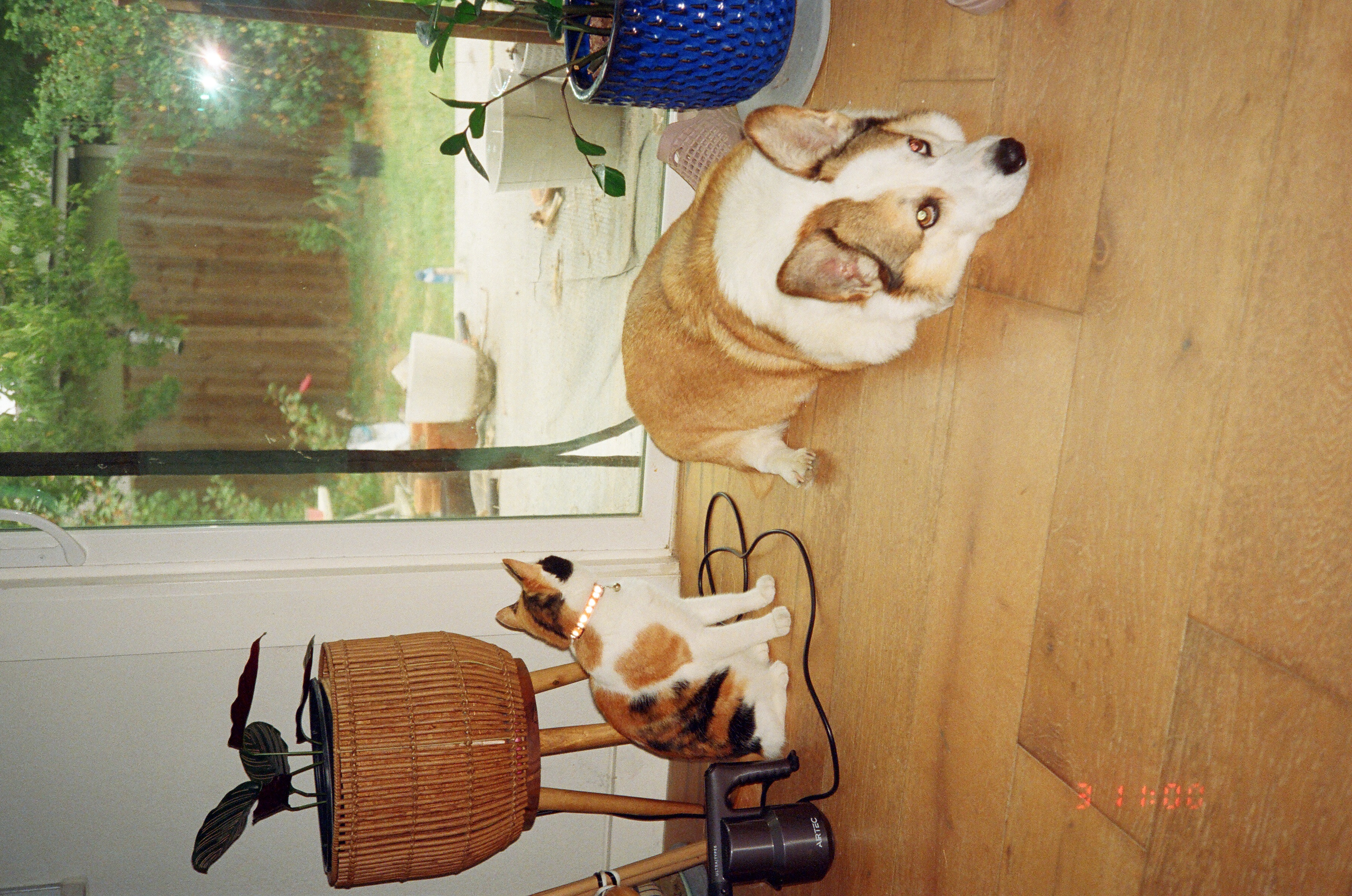 05820015.JPG