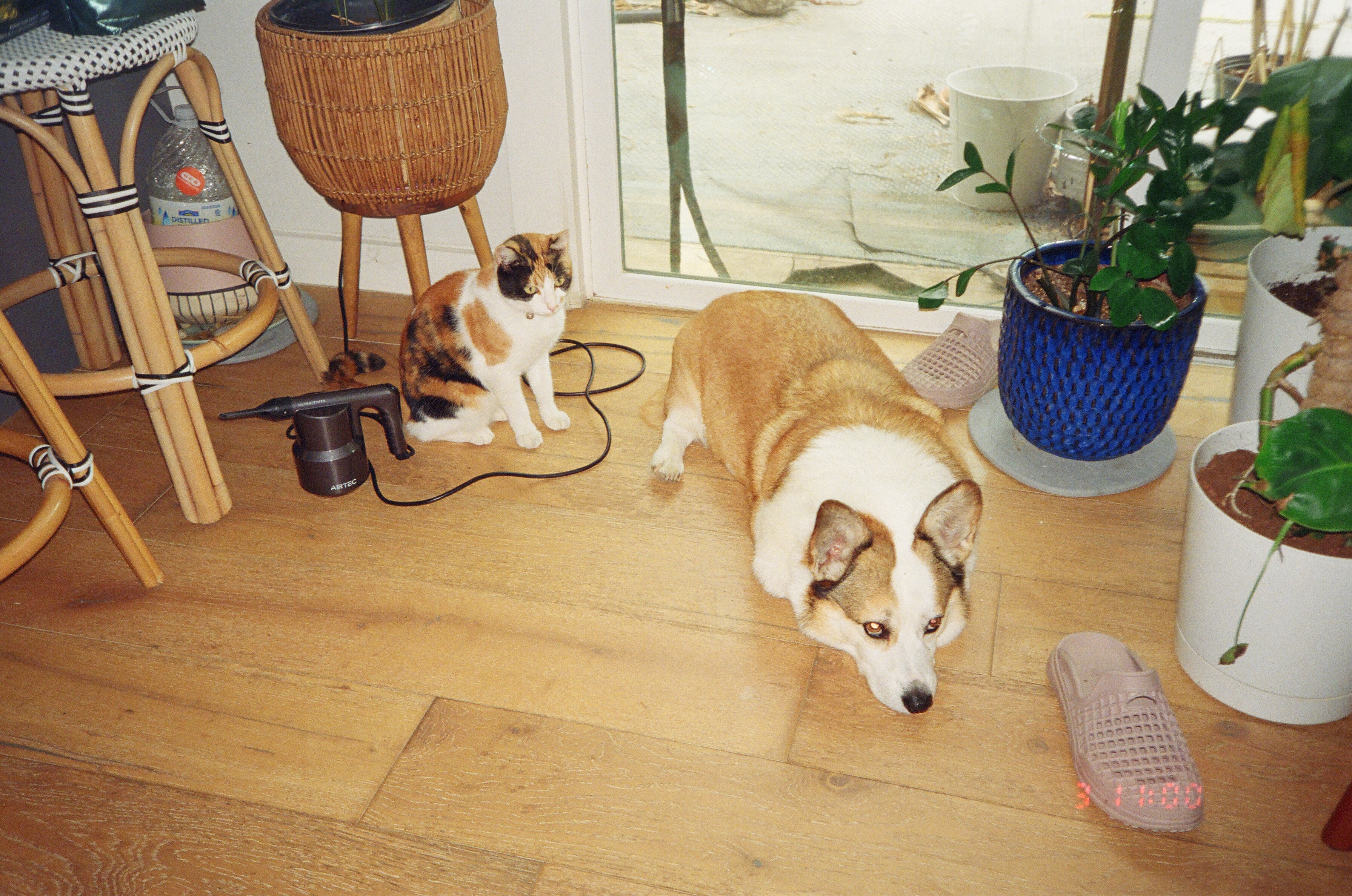 05820016.JPG
